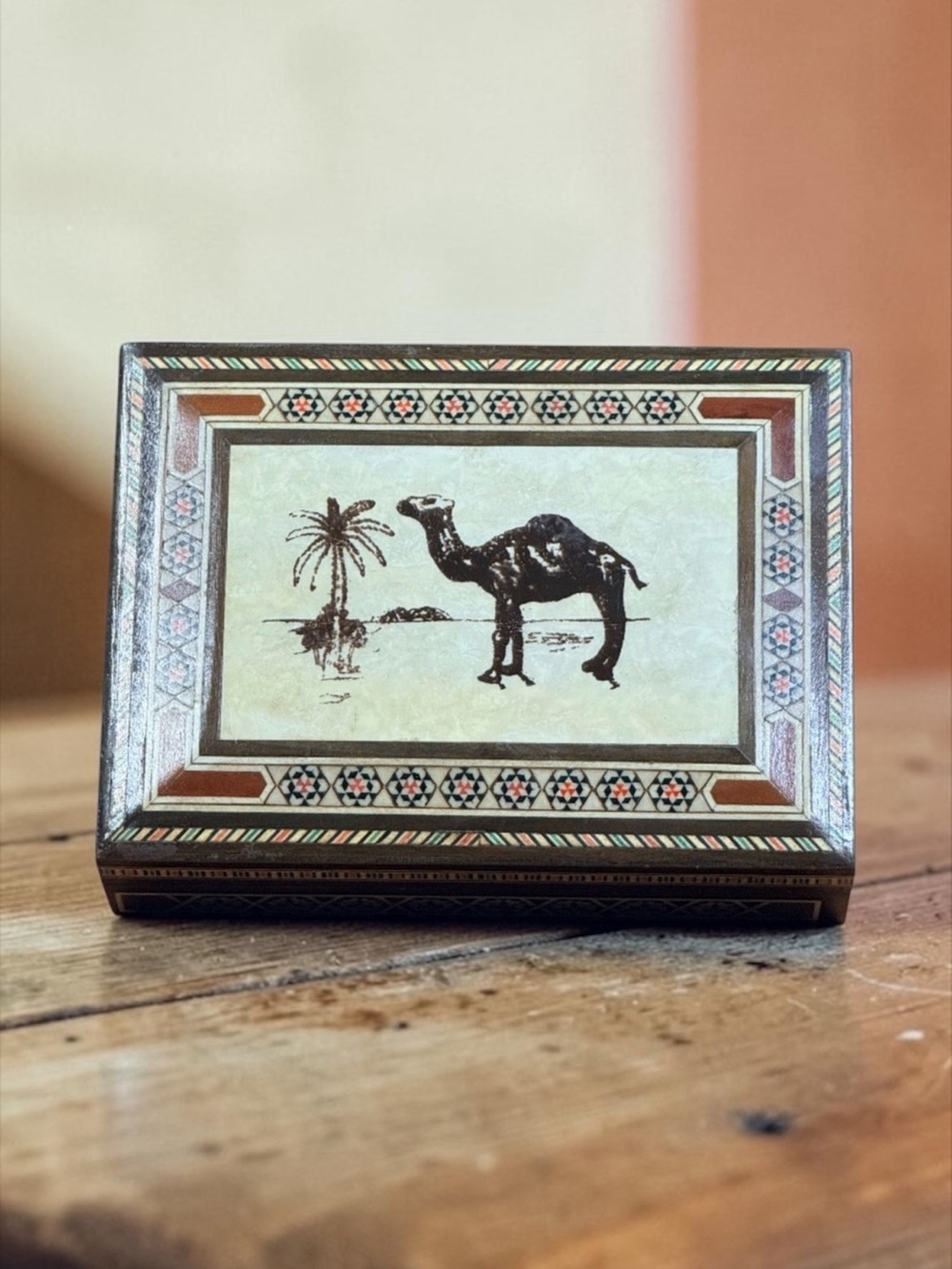 Jewelry Box and/or Storage Box with Camel on Lid